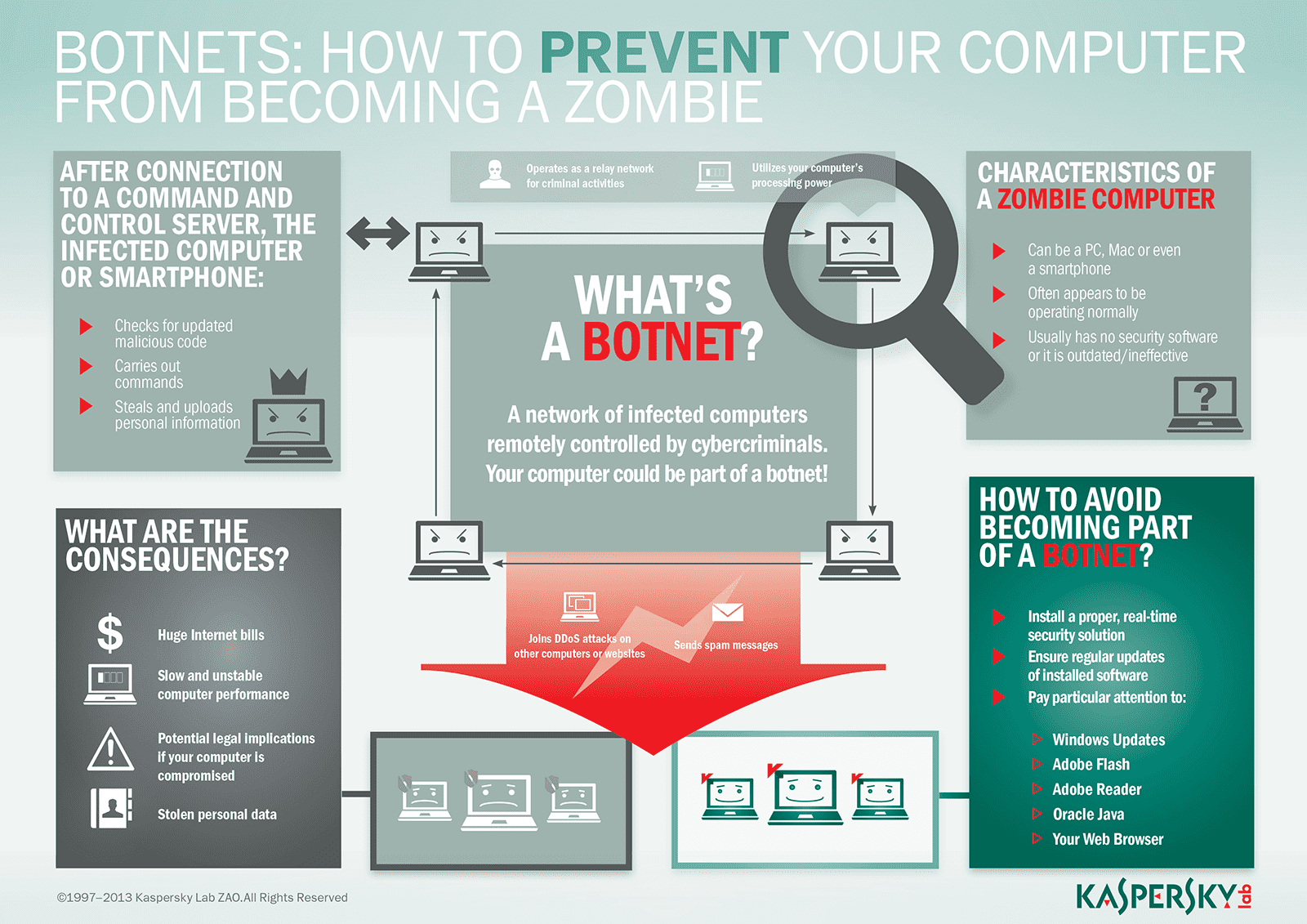 Botnet Infographic