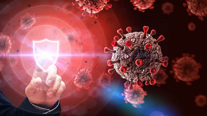 Comment Se Debarrasser D Un Virus Informatique Tout Ce Que Vous Devez Savoir