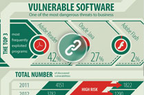 Vulnerable Software Infographic